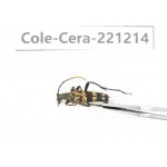 Cerambycidae sp. China, Heilongjiang, Mudanjiang. 1Pcs. Cole-Cera-221214.