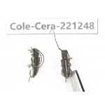Cerambycidae sp. China, Heilongjiang, Mudanjiang. 2Pcs. Cole-Cera-221248.