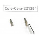Cerambycidae sp. China, Heilongjiang, Mudanjiang. 2Pcs. Cole-Cera-221294.