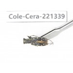 Cerambycidae sp. China, Heilongjiang, Mudanjiang. 1Pcs. Cole-Cera-221339.