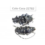Cerambycidae sp. China, Yunnan, Dali, C of Mt.Cangshan. 2Pcs. Cole-Cera-22782.