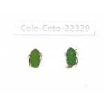 Cetoniidae sp. China, Guangxi, Baise, Leye county. 2Pcs. Cole-Ceto-22329.