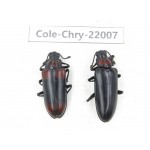 Chrysomelidae sp. China,  Tibet, Linzhi, Bomi county. 2Pcs. Cole-Chry-22007.