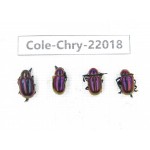 Chrysomelidae sp. China, Yunnan, Xiangerila, S of Weixi county. 4Pcs. Cole-Chry-22018.