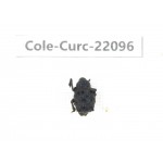 Curculionidae sp. China, Yunnan, Dehong, Longchuan. 1Pcs. Cole-Curc-22096.