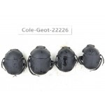 Geotrupidae sp. China, Guizhou, Bijie, Jinsha county. 4Pcs. Cole-Geot-22226.