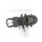 Lucanus fryi. China, Tibet, Linzhi, Motuo county. 1M. Luca-Luca-22014.