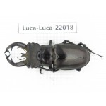 Lucanus fryi. China, Tibet, Linzhi, Motuo county. 1M. Luca-Luca-22018.