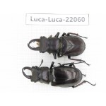 Lucanus langi. China, Tibet, Linzhi, Motuo county. 2M. Luca-Luca-22060.