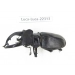 Lucanus fryi. China, Yunnan, Nujiang, Lushui county.1M. Luca-Luca-22313.
