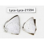 Curetis acuta. China, Sichuan, Baoxing county. 2M. Lyca-Lyca-21594.