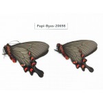 Byasa demonius yunnana. China, Yunnan, Lijiang, Daju. 2M. Papi-Byas-20698.