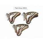 Graphium evemon & Graphium eurypylus acheron. China, Yunnan, Xishuangbanna, Mengla. 3M. Papi-Grap-20011.