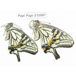 Papilio xuthus ssp. China, Yunnan, Dali, Yangbi county, C Mt.Cangshan. 1P. Papi-Papi-212087.