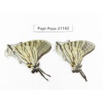 Pazala eurous ssp. China, Sichuan, Yajiang county. 2M. Papi-Paza-21162.