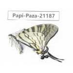 Pazala sp. China, Yunnan, Lijiang, W part of Yulong county. 1M. Papi-Paza-21187.