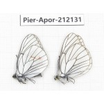 Aporia crataegi atomosa. China, Sichuan, Ganzi, Kangding, Mt.Zheduoshan. 2M. Pier-Apor-212131.