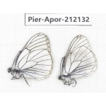 Aporia crataegi atomosa. China, Sichuan, Ganzi, Kangding, Mt.Zheduoshan. 2M. Pier-Apor-212132.