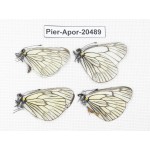 Aporia delavayi delavayi. China, Yunnan, Xiangerila area, Mt. Daxueshan. 4M. Pier-Apor-20489.