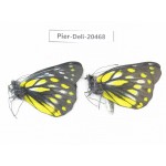 Delias sacana perspicua. China, Yunnan, Xiangerila, Mt.Meilixueshan. 2M. Pier-Deli-20468.