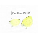 Eurema sp. China, Fujian, Quanzhou, Mt.Daiyunshan. 2M. Pier-Othe-212151.