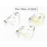 Pieris rapae ssp. China, Tibet, Linzhi, Milin county. 3M. Pier-Othe-212650.