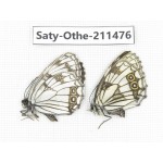 Melanargia halimede ssp. China, Gansu, Yuzhong county, Mt.Xinglongshan. 1P. Saty-Othe-211476.