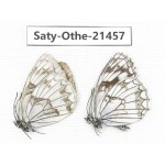 Melanargia ganymedes. China, Qinghai, Xining, Pingan county, Sitaixiang town. 2M. Saty-Othe-21457.
