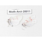 Arctiidae sp. China, Tibet, Linzhi area, Bomi county. 2Pcs. Moth-Arct-20011