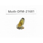 Day flying moths sp. China, Tibet, Linzhi, Milin county.1Pcs. Moth-DFM-21681.