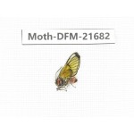Day flying moths sp. China, Tibet, Linzhi, Milin county.1Pcs. Moth-DFM-21682.