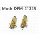 Day flying moths sp. China, Tibet, Linzhi, Mt.Serkyla. 1P. Moth-DFM-21325.