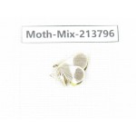 Moths sp. China, Guangxi, Chongzuo, Longzhou county. 1Pcs. Moth-Mix-213796.