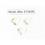 Moths sp. China, Guangxi, Chongzuo, Longzhou county. 3Pcs. Moth-Mix-213839.