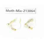 Moths sp. China, Guangxi, Chongzuo, Longzhou county. 2Pcs. Moth-Mix-213864.