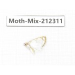 Moths sp. China, Tibet, Linzhi, Bomi county. 1Pcs. Moth-Mix-212311.