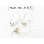 Moths sp. China, Tibet, Linzhi, Bomi county. 3Pcs. Moth-Mix-212387.