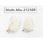 Moths sp. China, Tibet, Linzhi, Bomi county. 2Pcs. Moth-Mix-212388.