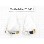 Moths sp. China, Tibet, Linzhi, Bomi county. 2Pcs. Moth-Mix-212415.