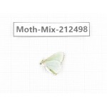 Moths sp. China, Tibet, Linzhi, Bomi county. 1Pcs. Moth-Mix-212498.