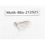 Moths sp. China, Tibet, Linzhi, Bomi county. 1Pcs. Moth-Mix-212925.