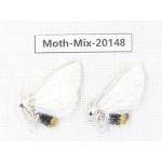 Moths sp. China, Tibet, Linzhi, Bomi county. 2Pcs. Moth-Mix-20148.