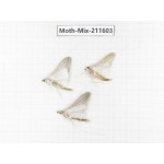 Moths sp. China, Tibet, Linzhi, Motuo county. 3Pcs. Moth-Mix-211603.