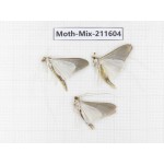 Moths sp. China, Tibet, Linzhi, Motuo county. 3Pcs. Moth-Mix-211604.