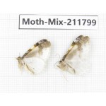 Moths sp. China, Tibet, Linzhi, Motuo county. 2Pcs. Moth-Mix-211799.