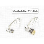Moths sp. China, Tibet, Linzhi, Motuo county. 2Pcs. Moth-Mix-213166.