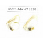 Moths sp. China, Tibet, Linzhi, Motuo county. 2Pcs. Moth-Mix-213328.