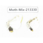 Moths sp. China, Tibet, Linzhi, Motuo county. 2Pcs. Moth-Mix-213330.
