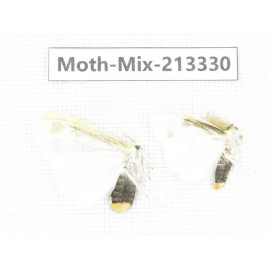 Moths sp. China, Tibet, Linzhi, Motuo county. 2Pcs. Moth-Mix-213330.