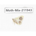 Moths sp. China, Yunnan, Dehong, Yingjiang county. 1Pcs. Moth-Mix-211943.